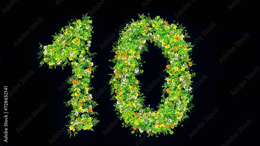 Beautiful illustration of number 10 with green grass and colorful flowers on plain black background