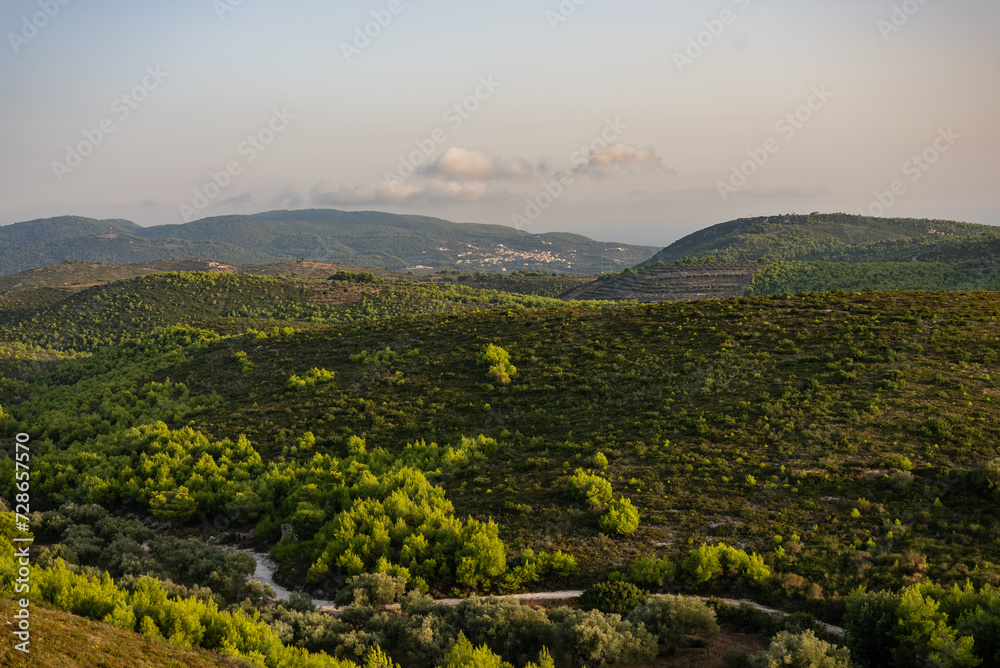 Obraz premium Green fields and forest in Zakynthos, Greece. Sunset pine trees, olive groves and sea view on a greek island.Mediterranean sunset from the Agalas viewpoint.