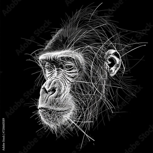 abstract gorilla t shirt design. Deconstructed minimalist line drawing. Fractal split effect. black background