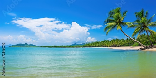 There are many tall coconut trees on the beach of Hainan Island  and the last ray of sun shines on the beach 