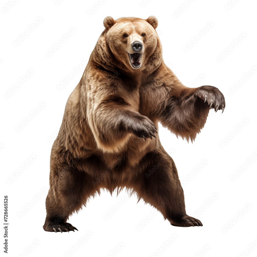 Fototapeta premium Aggressive brown bear in epic pose isolated on transparent and white background. Ideal for use in advertising. Generative ai