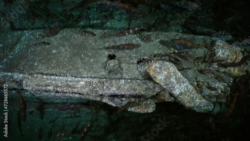 Wreck of the 38m on the Atlantic Coast of France, by 38m depth photo