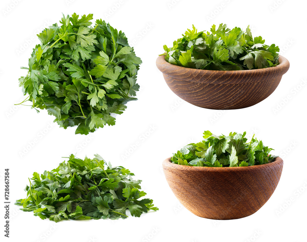 Set of fresh Parsley. Parsley leaves on white background. Parsley leaves with copy space for text. Herbs isolated on white. Set of fresh Parsley. Parsley leaves on white background. Parsley leaves with copy space for text. Herbs isolated on white.