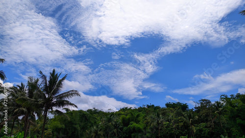 View of bright blue sky and coconut trees with empty space