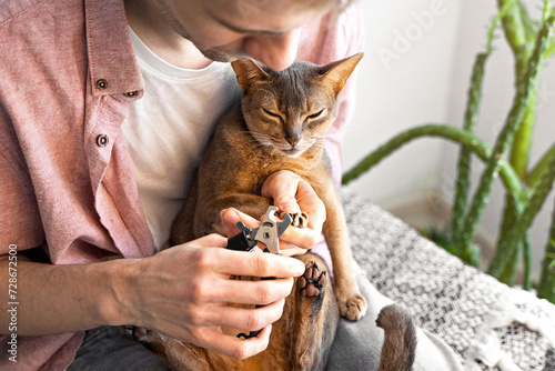 Clipping cat claws. Caucasian white Man in a pink shirt and white t-shirt using scissors, trims his cat's nails at home. Concept pet health care and love for animals. Lifestyle and Pet love photo