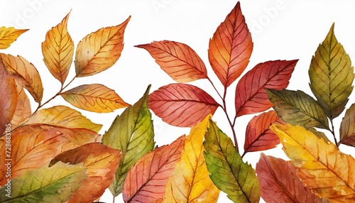 watercolor illustration autumn leaves transparent background png