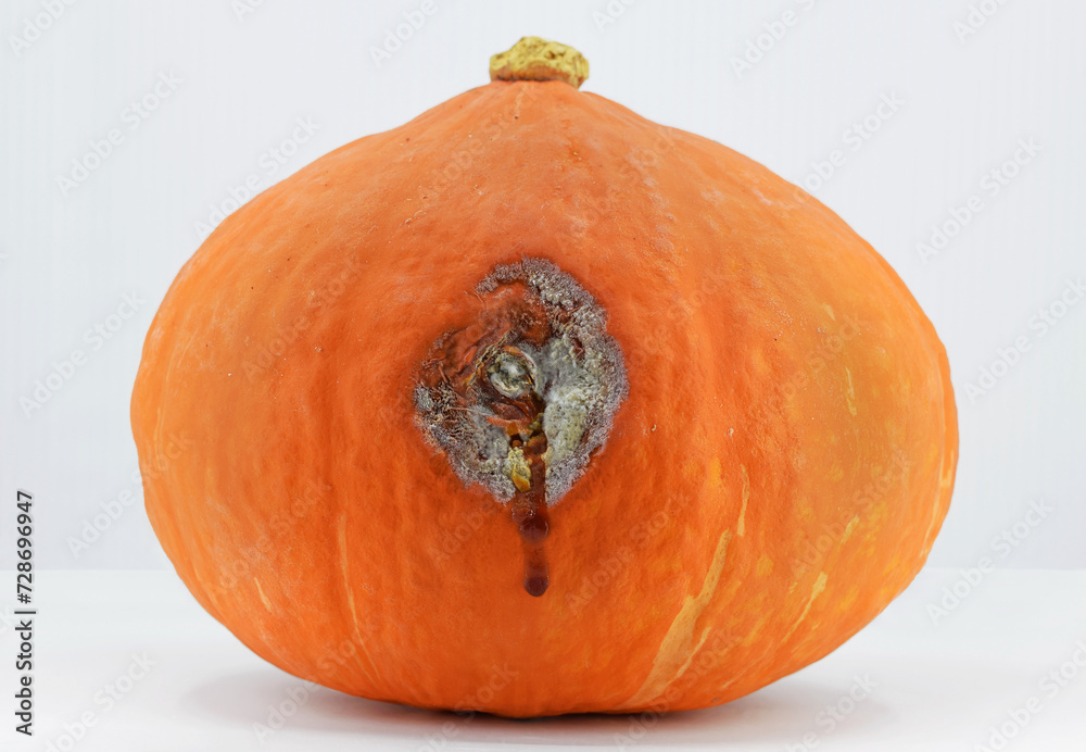 Φωτογραφία Damaged moldy or rot pumpkin