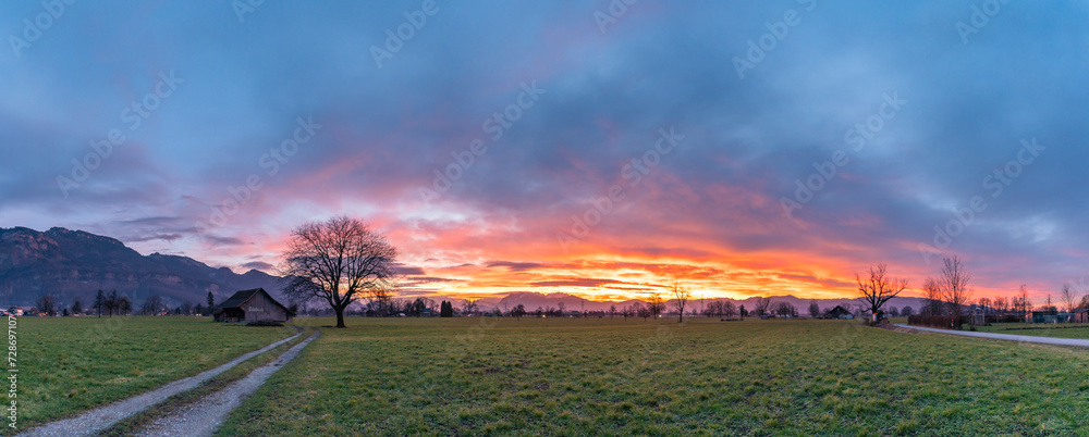 Panorama under afterglow with single tree and wooden barn on meadow in Rhein valley, with Vorarlberg and Swiss mountains in background. red, orange, yellow and blue clouds on the sky after sunset