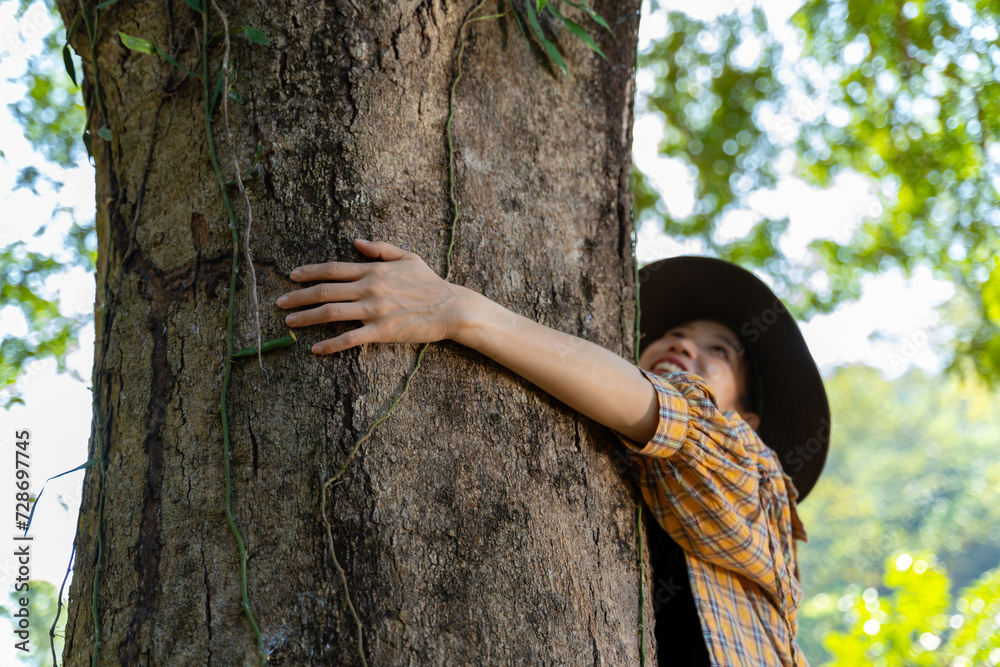 Embrace the big tree green forest in sun light.green forest of ...