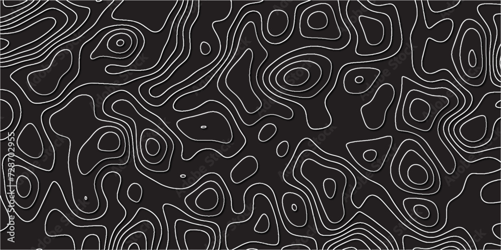 Abstract Topographic line art background. Mountain topographic terrain map background with white shape lines.Geographic map conceptual design.Black on white contour height lines. Abstract Topographic line art background. Mountain topographic terrain map background with white shape lines.Geographic map conceptual design.Black on white contour height lines.
