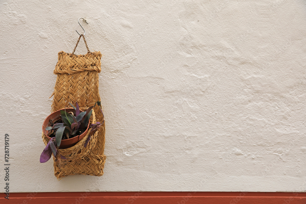 Obraz premium tiesto con una planta en soporte de esparto colgando de una pared blanca sevilla decoración 4M0A5594-as24