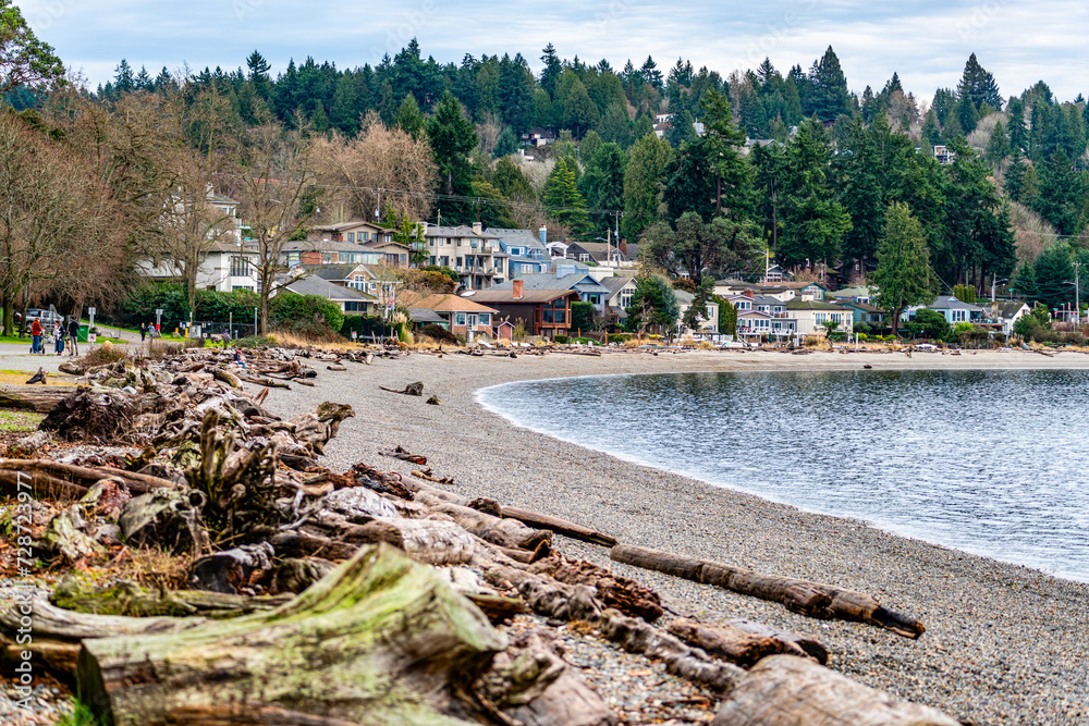 Fototapeta premium Driftwood Shoreline Homes