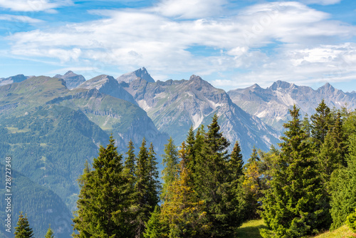 Scenic Stubai Alps in summer, a panoramic view of peaks on the border between Austria and Italy, evergreen fir trees in the foreground, Tyrol, Austria.