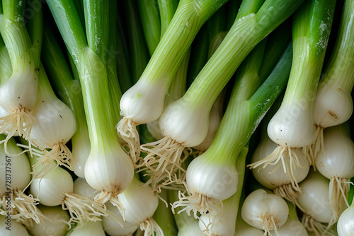 Top view on fresh green spring onion vegetables