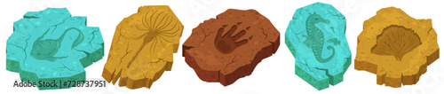 Fossils stones with different prehistoric creature and plants silhouettes