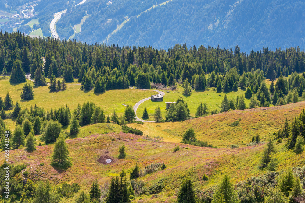 Obraz premium Alpine meadows with blooming herbs in summer, Stubai Alps, Tyrol, Austria.