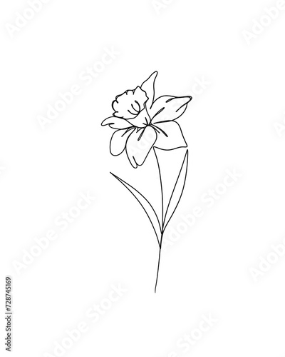 line art drawing of flowers. minimalism sketch, idea for invitation, design o...