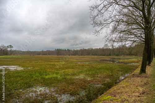 View over Wisselse Veen near Epe in the Netherlands, a newly formed nature reserve called Landgoed Tongeren.