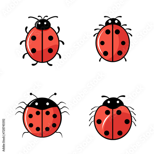 Vector illustration, ladybug, insect set, 4 ladybugs
