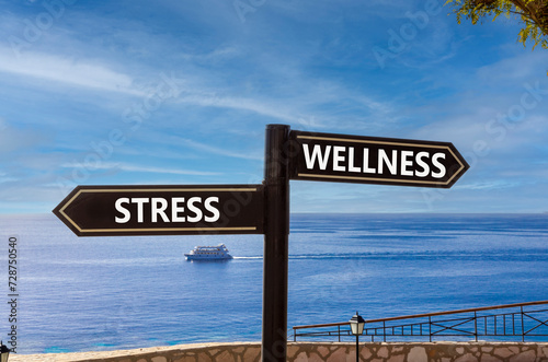 Wellness or stress symbol. Concept word Wellness or Stress on beautiful signpost with two arrows. Beautiful blue sea sky with clouds background. Healthy and Wellness or stress concept. Copy space.