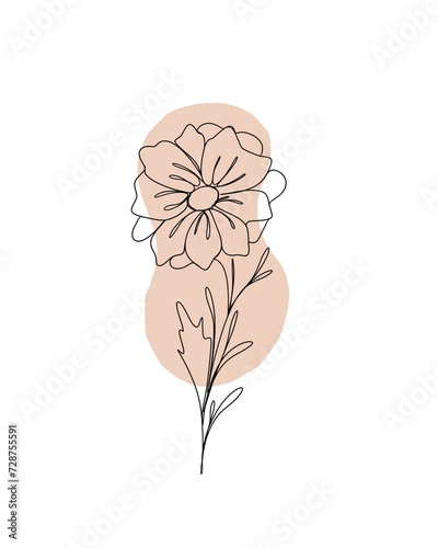 line art drawing of flowers. minimalism sketch, idea for invitation, design o...