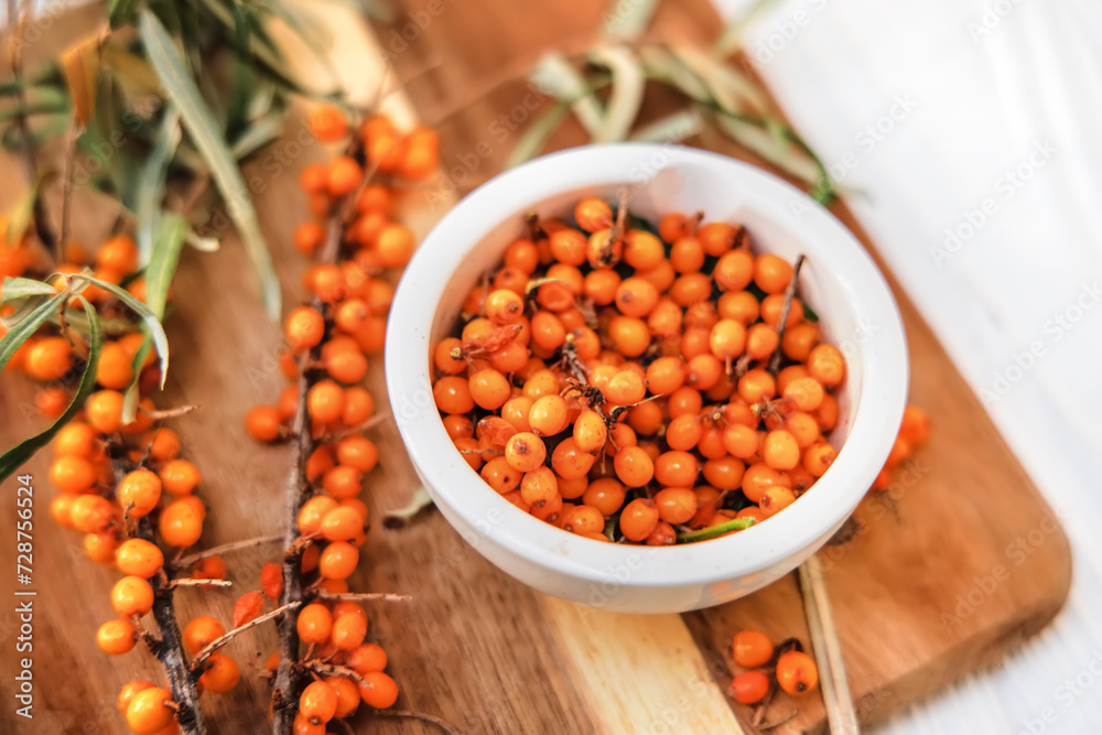 Freshly picked sea buckthorn berries on a branch. Sea buckthorn, harvested in the fall and torn from the branches, poured into a plate, ready for freezing and making healing tea Freshly picked sea buckthorn berries on a branch. Sea buckthorn, harvested in the fall and torn from the branches, poured into a plate, ready for freezing and making healing tea