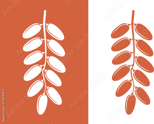 Date fruit logo. Isolated date fruit on white background
