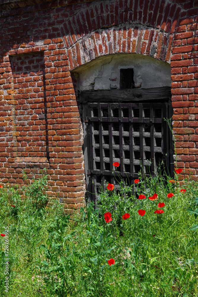 Sălacea wine cellars in Bihor County, Romania, Europe. In the village