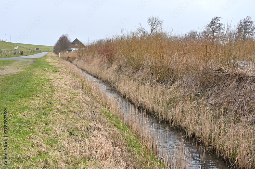 Entwässerungsgraben hinter einem Nordseedeich Entwässerungsgraben hinter einem Nordseedeich