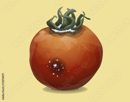 Moldy tomato. Isolated on a yellow background. Vector illustration. 