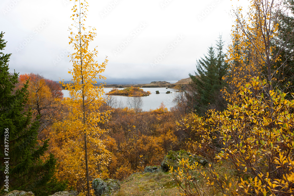 Fototapeta premium Autumn in Iceland.