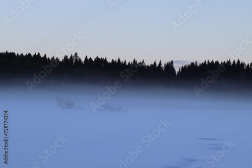 The lake in fog on a winter day with blue sky. Forest and grass in cold frozen water.