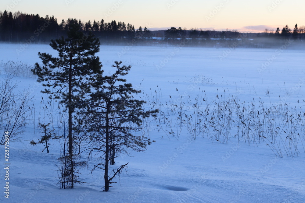 The lake in fog on a winter day with blue sky. Forest and grass in cold frozen water. The lake in fog on a winter day with blue sky. Forest and grass in cold frozen water.
