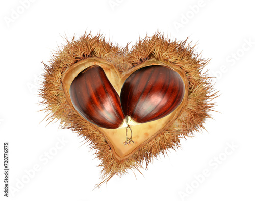 love hearts valentines red chestnuts nest isolated for