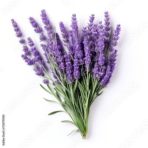 A single piece of lavender top view isolated on white  background