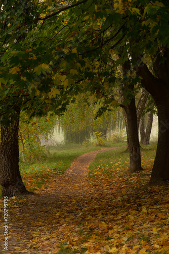 A breathtaking autumn park on a foggy morning... © Віталій Віжанський