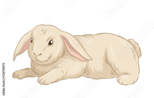 Cute fur rabbit concept. Sketch of forest dweller. Hand drawn art. Adorable white bunny. Wildlife and fauna. Banner or cover. Cartoon flat vector illustration isolated on white backgroun