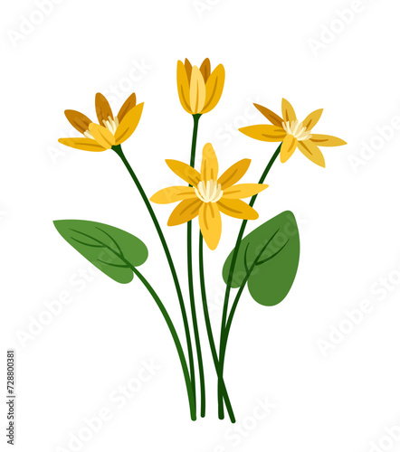 Spring flowers concept. Bloom and blossom yellow plants. Wild life and flora, botany. Aesthetics and elegance. Template and layout. Cartoon flat vector illustration isolated on white background