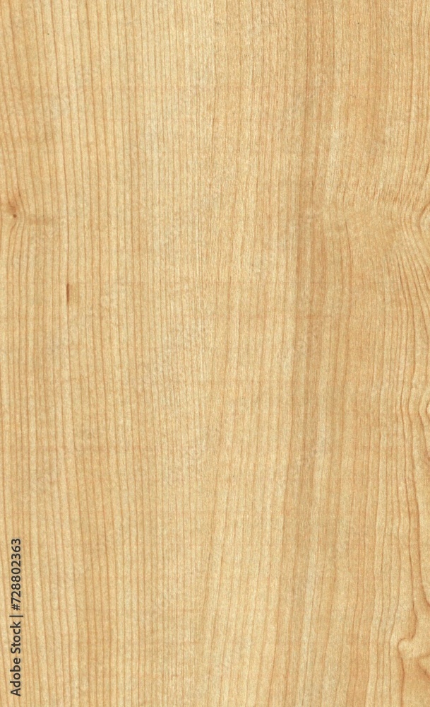 wood texture background