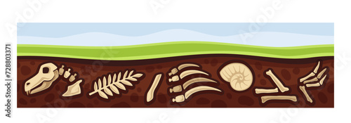 Under earth layer concept. Ground and soil, land. Archeology and paleontology. Fossils and artifacts, bones of dinosaur. Cartoon flat vector illustration isolated on white background