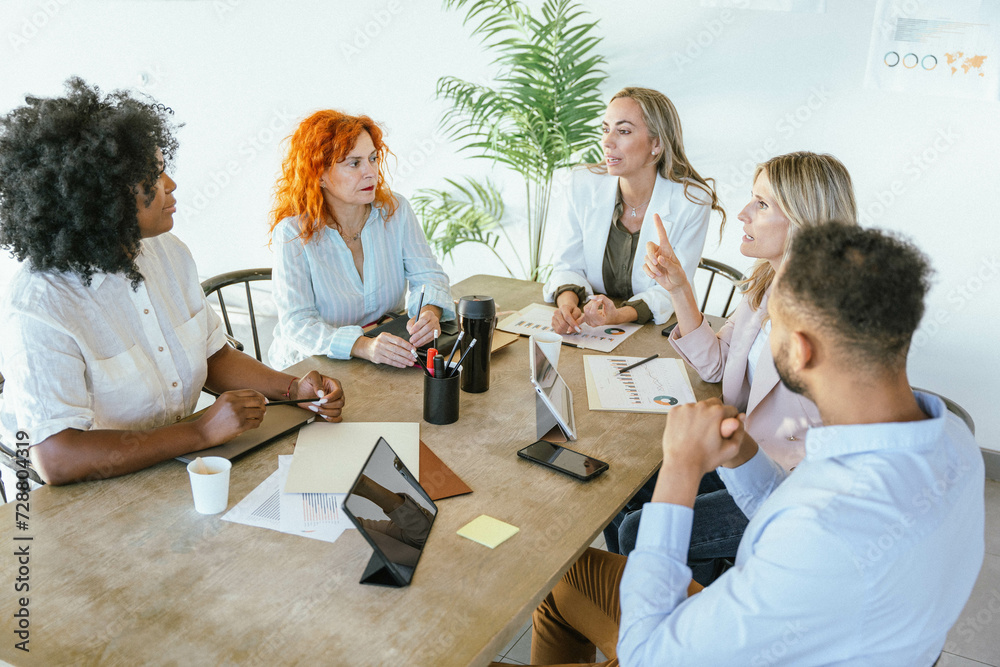 Fototapeta premium Group of professional business people having a meeting at the office.