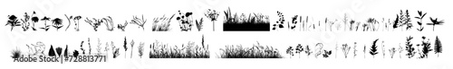 A set of blades of grass. hand drawing. Not AI. Vector illustration