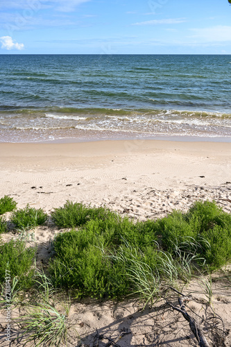 Fototapeta Naklejka Na Ścianę i Meble -  Vacation in Sweden - Vacation on the sandy beach Mossbystrand beach with a view of the Baltic Sea, in summer with a blue sky, Skivarp, Öresund, Skane Lan, Sweden