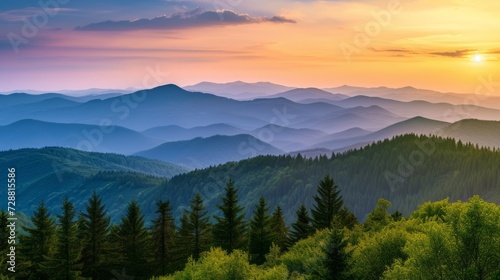 panorama of Carpathian mountains at sunset. beautiful landscape with forested hills and Apetska mountain in the distance