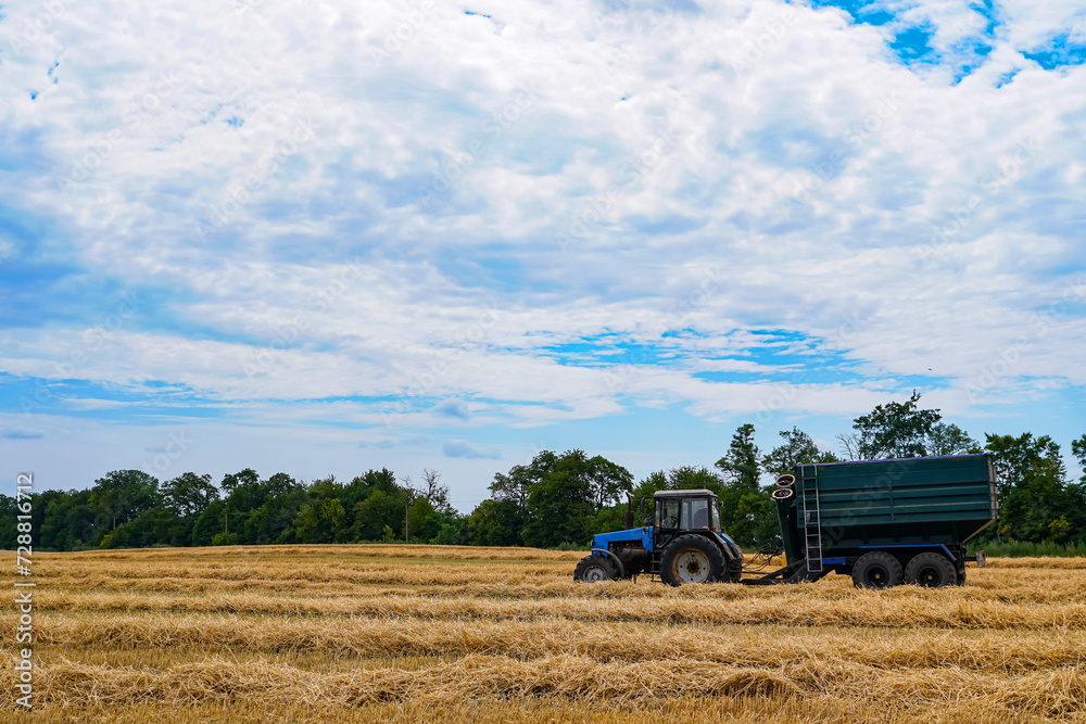 Fototapeta premium Tractor collects the hay in field against the blue sky