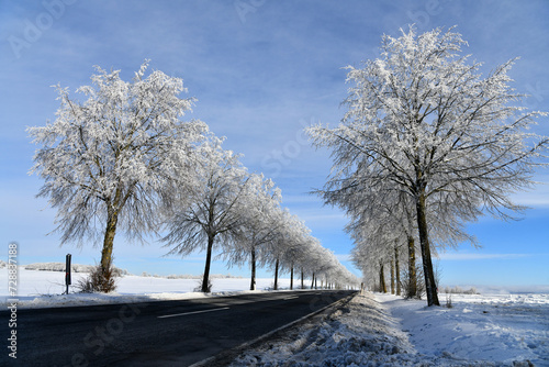 Landstraße im Winter mit bereiften Bäumen