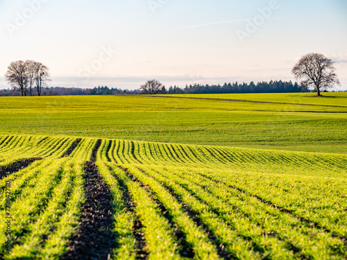 Agrarlandschaft in mildem Winter