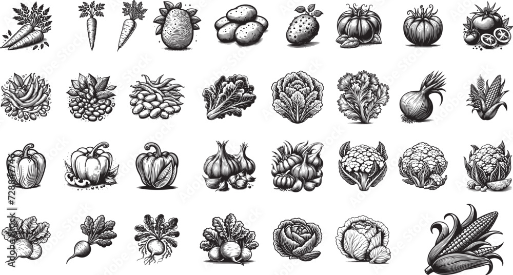 Big set of vegetables, Seamless background pattern of organic farm, Fresh vegetables set sketch, potato, tomato, onion, paprika, garlik, carott, corn, cabbage black and white vector graphics - obrazy, fototapety, plakaty 