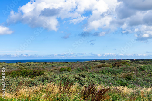 Landscape with green grass and bushes by the sea. Sand dunes overgrown with grass on the north sea.