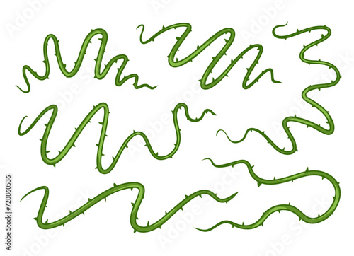 Shape of sharp liana vines. Jungle thorn branch. Collection of Natural decorative illustration isolated on white. Forest twisted tropical wood